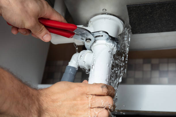 Best Water damage cleanup near me  in Chester, VA