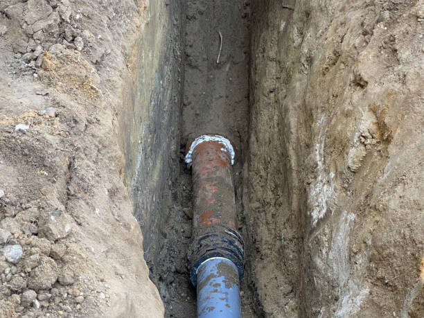 Best Flood damage cleanup  in Chester, VA