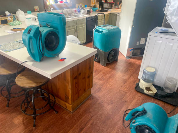 Best Professional water damage repair  in Chester, VA