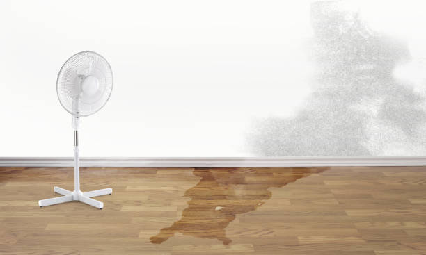 Carpet water damage restoration in Chester, VA