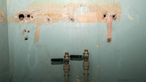 Best Flood damage cleanup  in Chester, VA