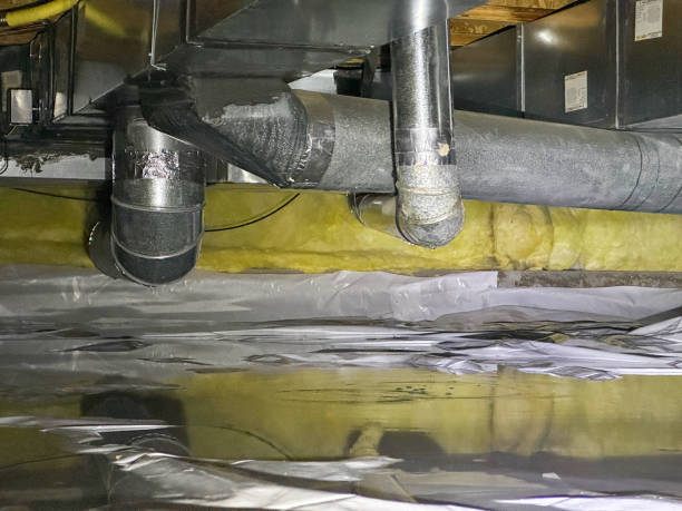 Best Water damage restoration near me  in Chester, VA