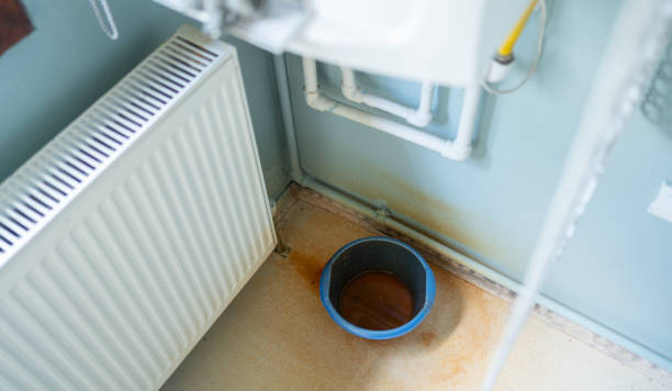 Trusted Chester, VA Water damage restoration Experts