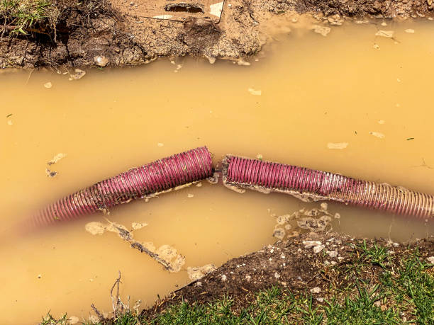 Best Residential water damage restoration  in Chester, VA